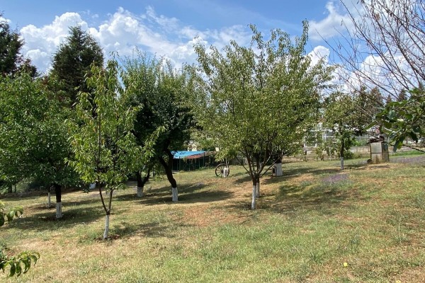 2506 - Sarıpınar - Villa