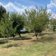2506 - Sarıpınar - Villa