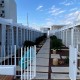 2589 - Silivri - Beach