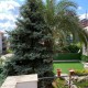 2563 - Çengelköy - Villa