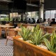 2650 - Maslak - Restaurant