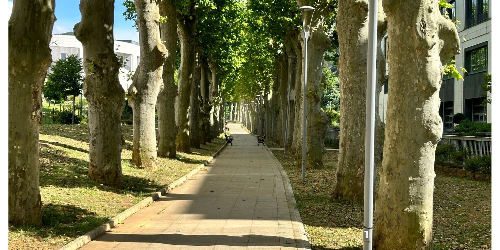 2677 - Beykoz - Üniversite