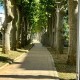 2677 - Beykoz - Üniversite