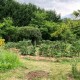 2005 - Öyümce - Müstakil