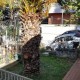 2158 - Beylerbeyi - Müstakil ev 2158 - Beylerbeyi - Müstakil ev