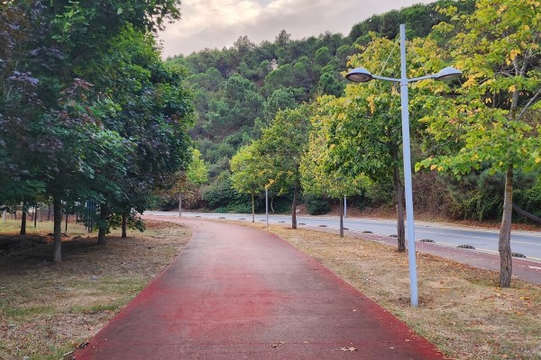 2503 - Maslak- Üni Spor Alanları