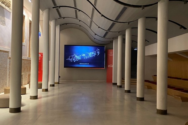 2504 - Beyoğlu - Sinema