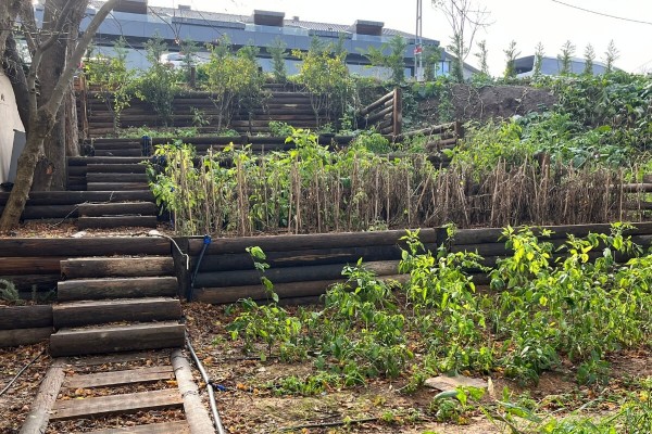 803 - Zekeriyaköy - Restorant